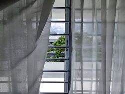Dunearn Road (D11), Condominium #484959011